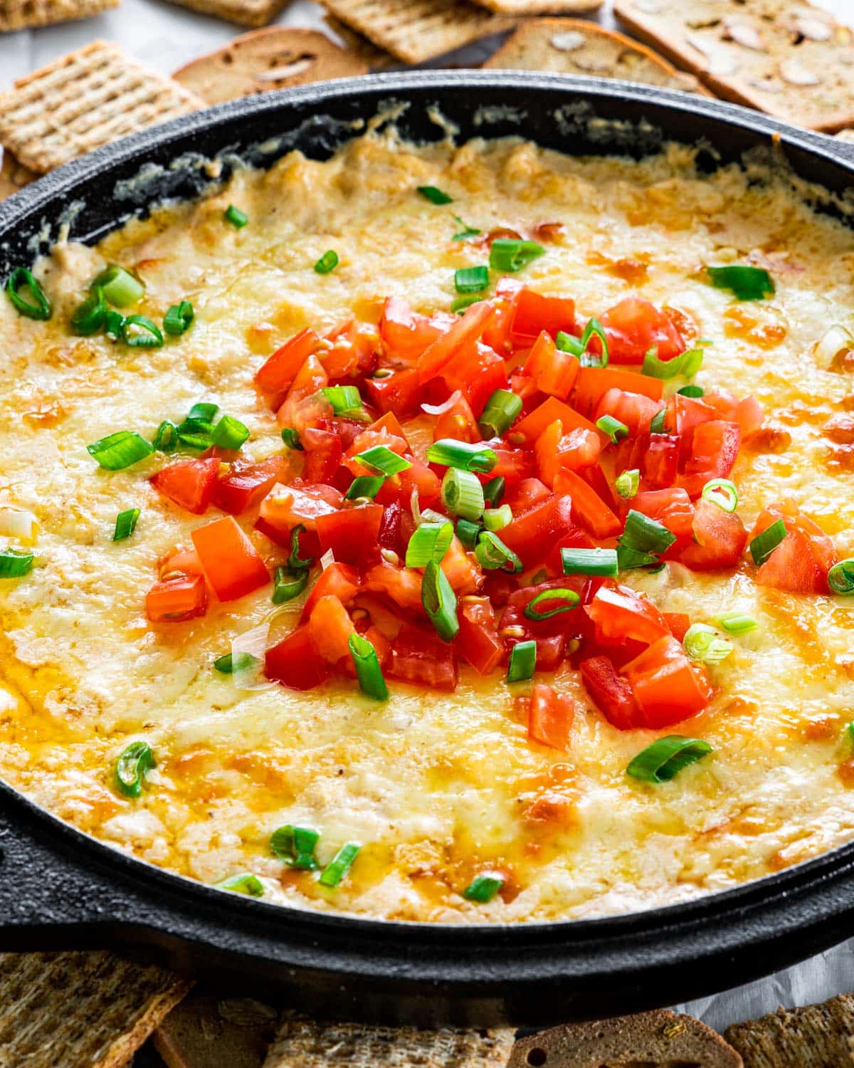 sideview shot of hot cheesy crab dip fresh from the oven and topped with freshly chopped tomatoes and green onions