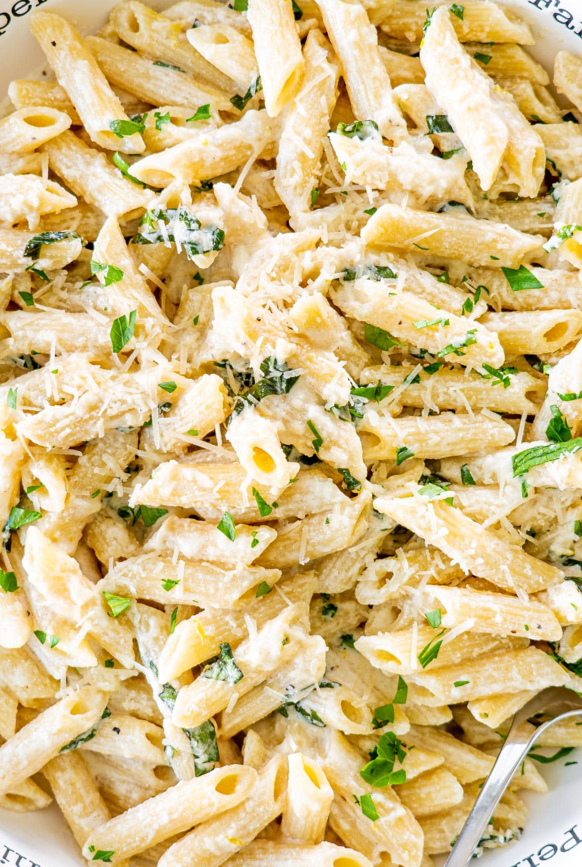 closeup shot of creamy goat cheese pasta in a pasta bowl garnished with fresh parsley and parmesan cheese