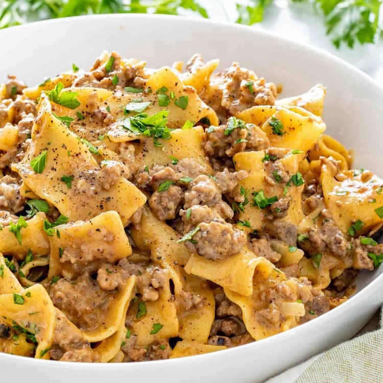 a serving of beef stroganoff with noodles in a white bowl.