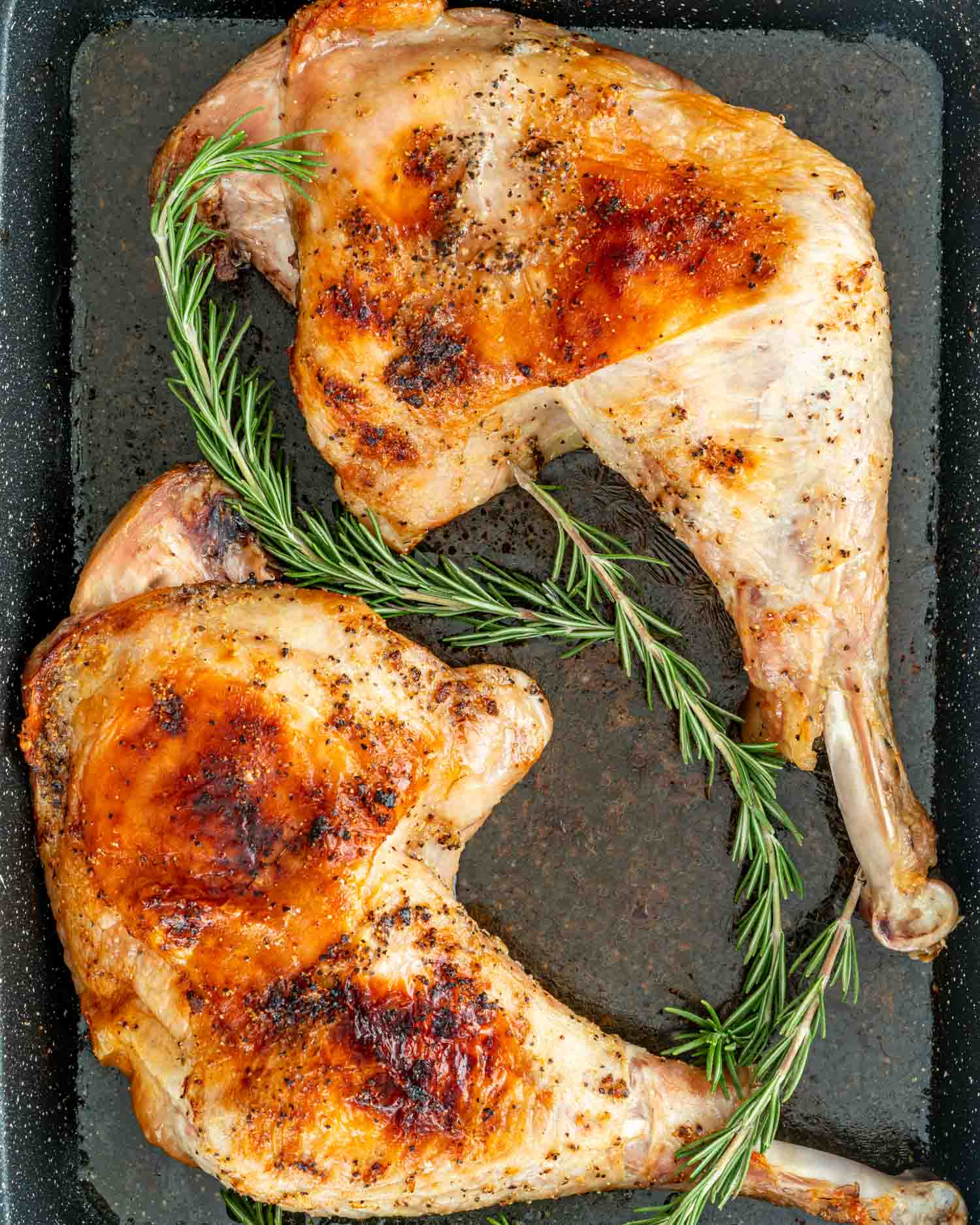 two roasted turkey legs with rosemary on a roasting pan.