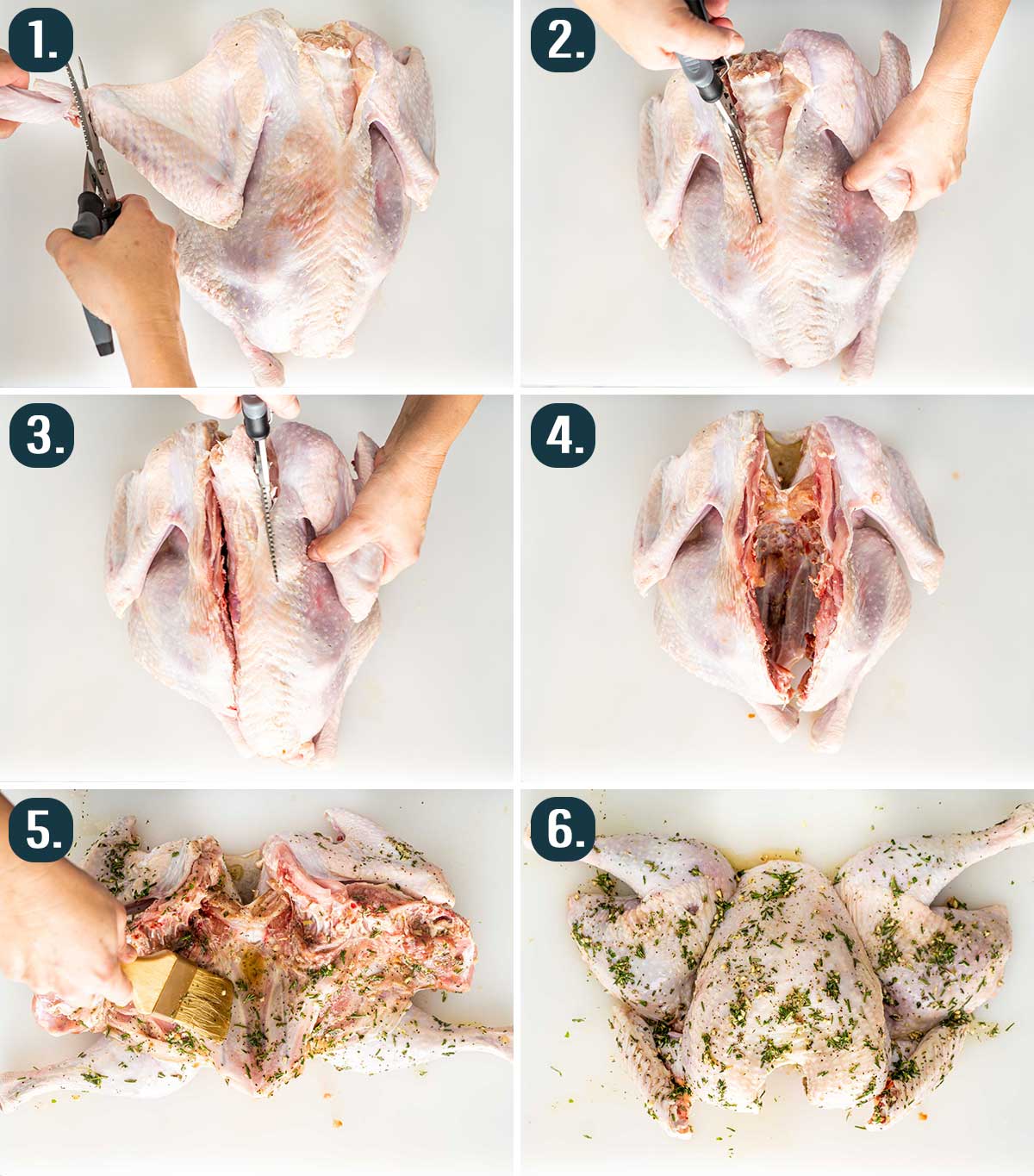 process shots showing how to spatchcock a turkey.