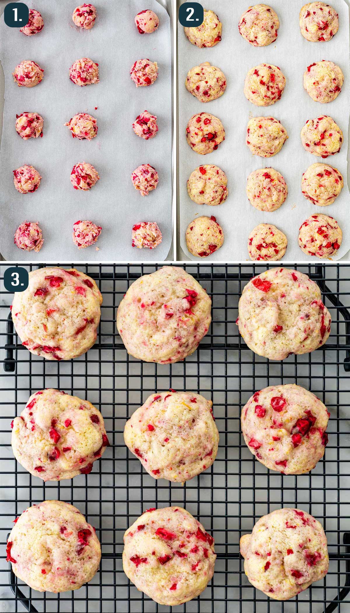 process shots showing how to form and bake cranberry cookies.