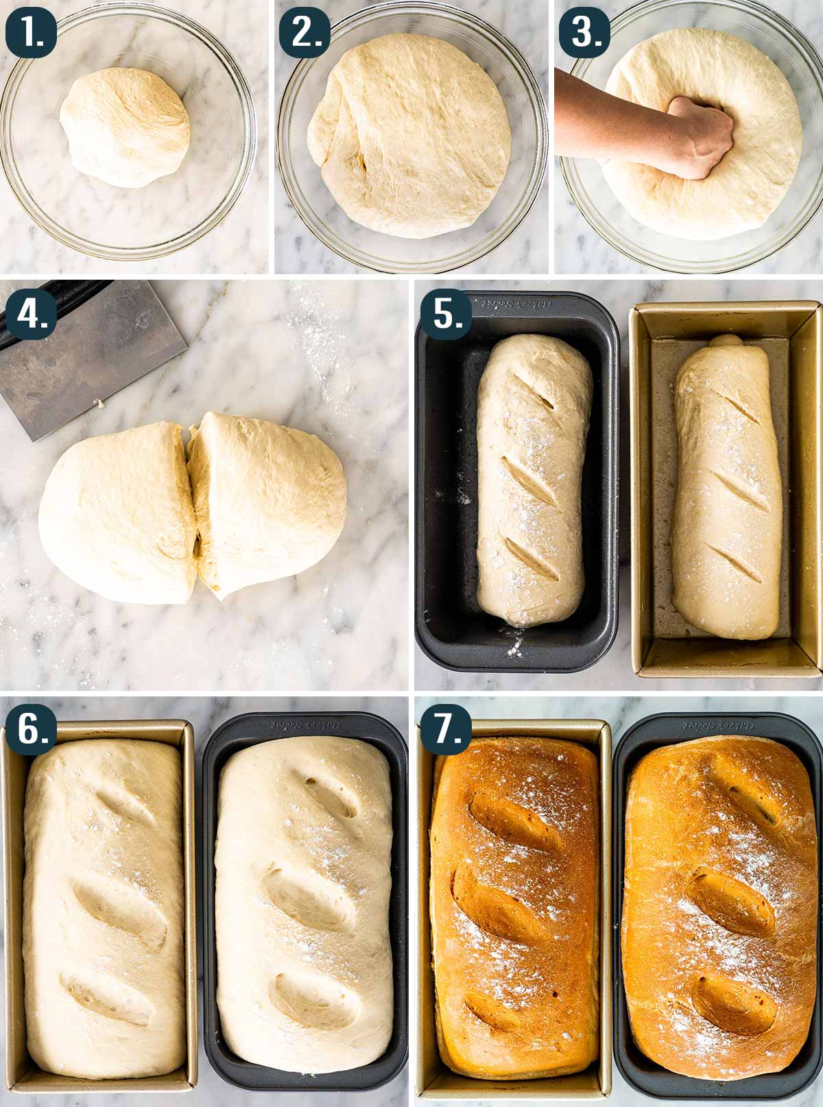process shots showing how to shape the dough for potato bread.