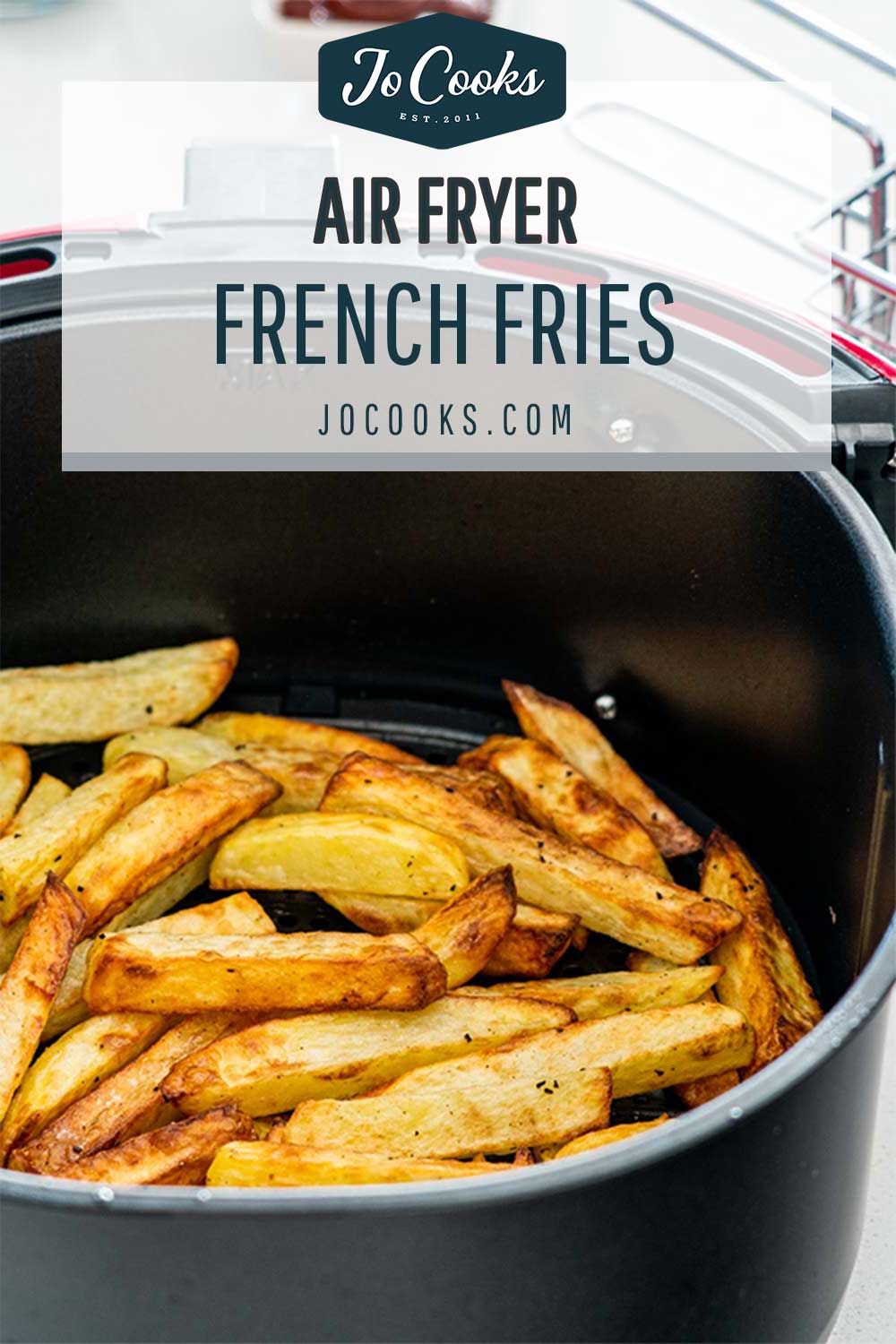 pin for air fryer french fries.
