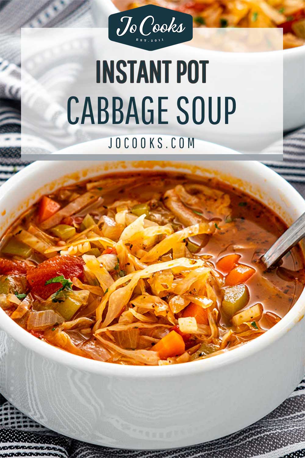 pin for instant pot cabbage soup.