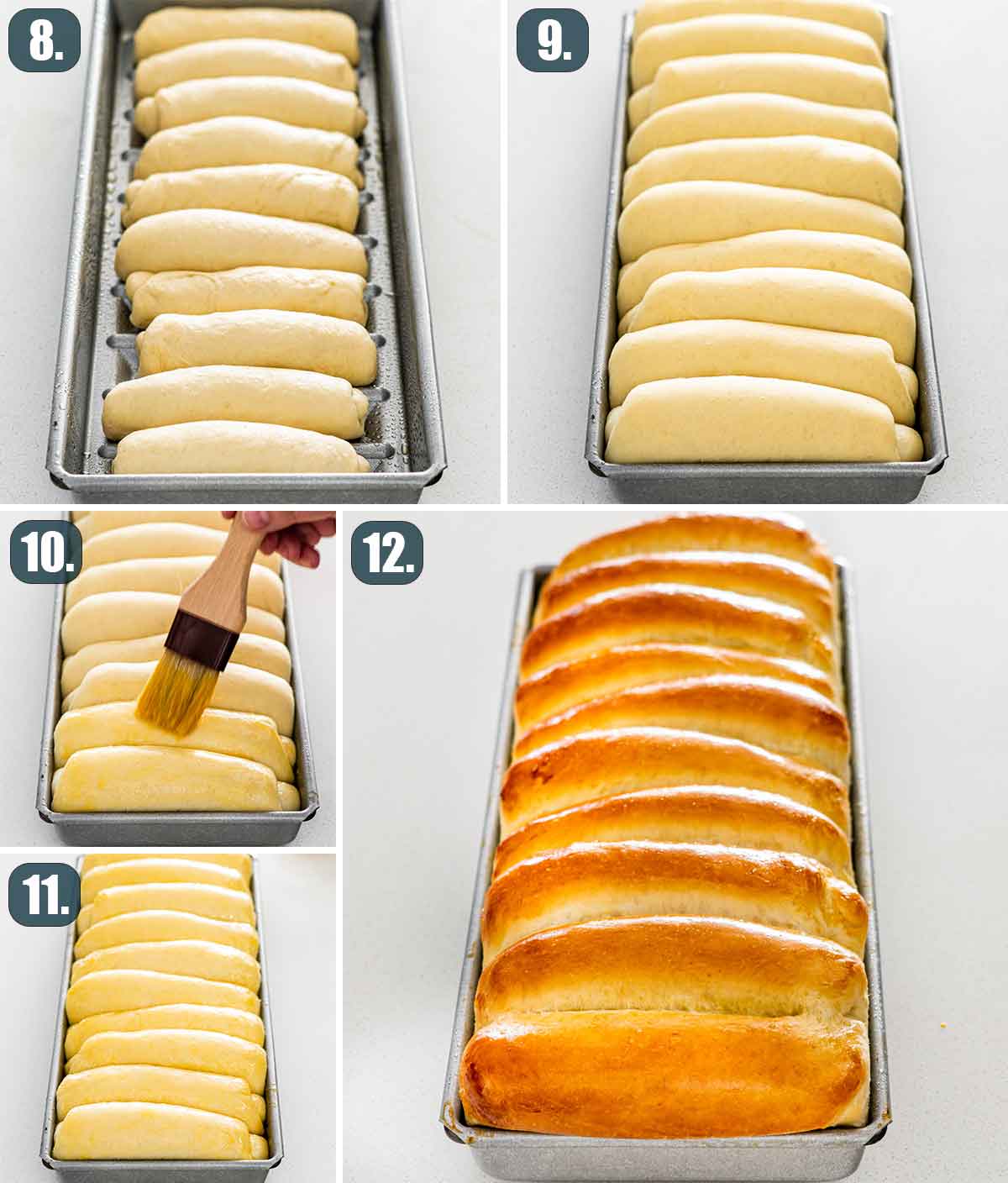 process shots showing how to shape and bake new england hot dog buns.