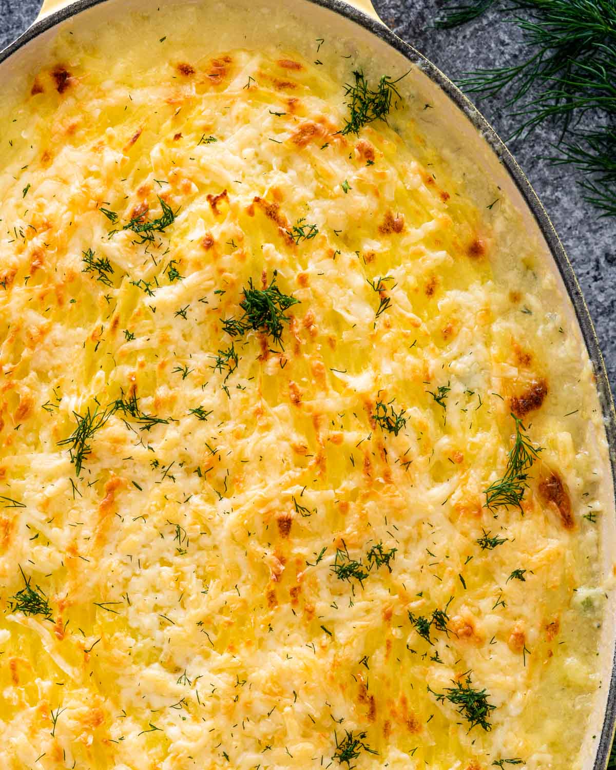 overhead shot of freshly baked fish pie garnished with dill.
