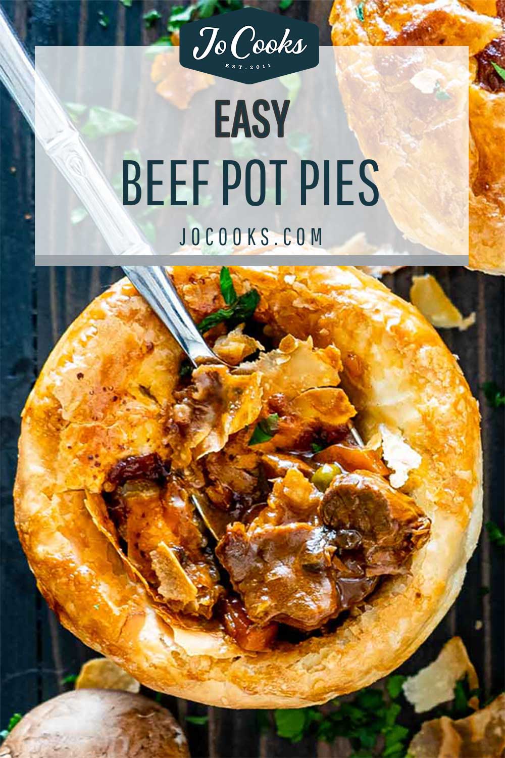 pin for beef pot pies.