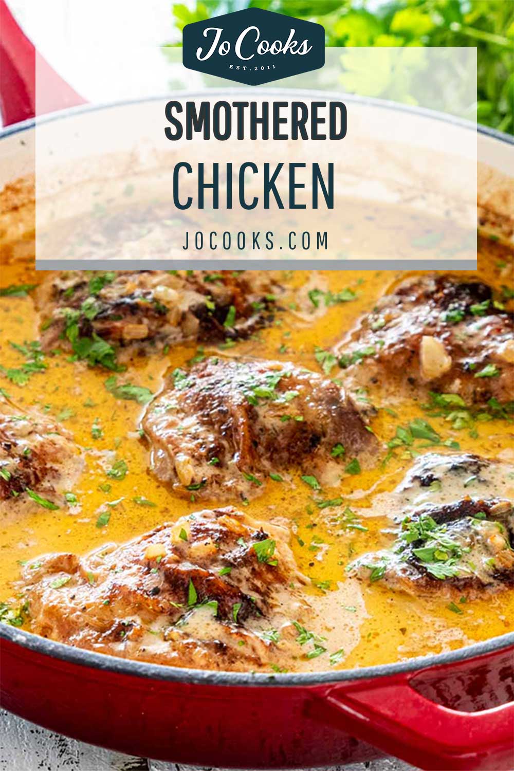 pin for smothered chicken.
