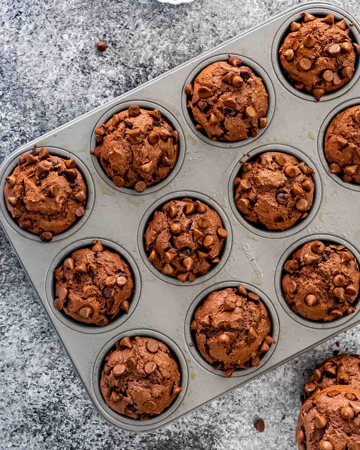 freshly baked double chocolate chip muffins in a muffin pan.