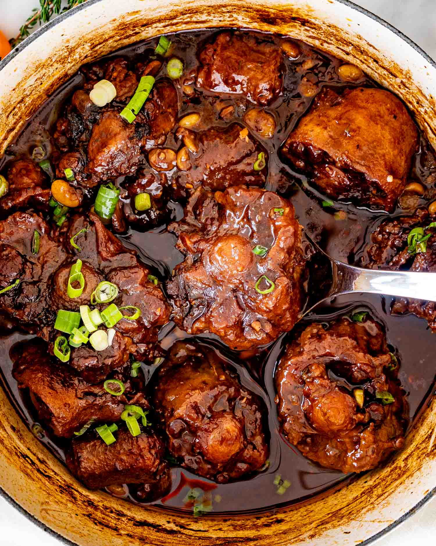 Close up of braised oxtail in rich dark gravy, spoon lifting tender piece showing glossy sauce and soft beans.
