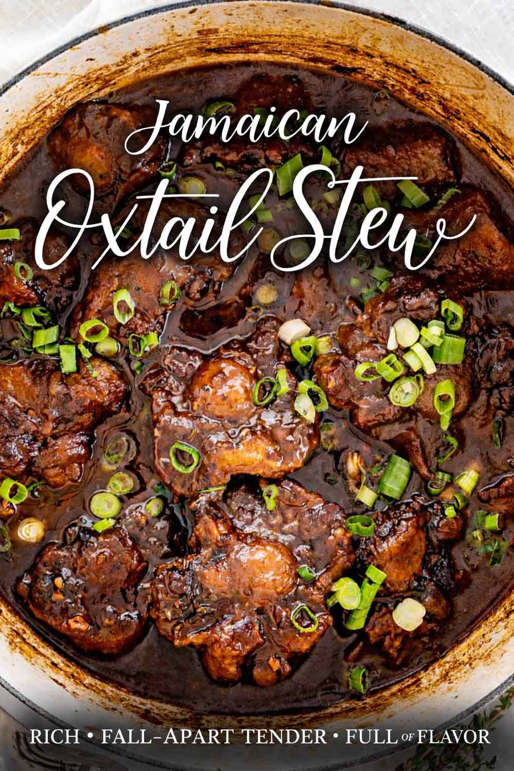 pin for oxtail stew.