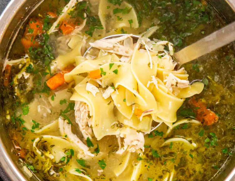 instant pot chicken noodle soup