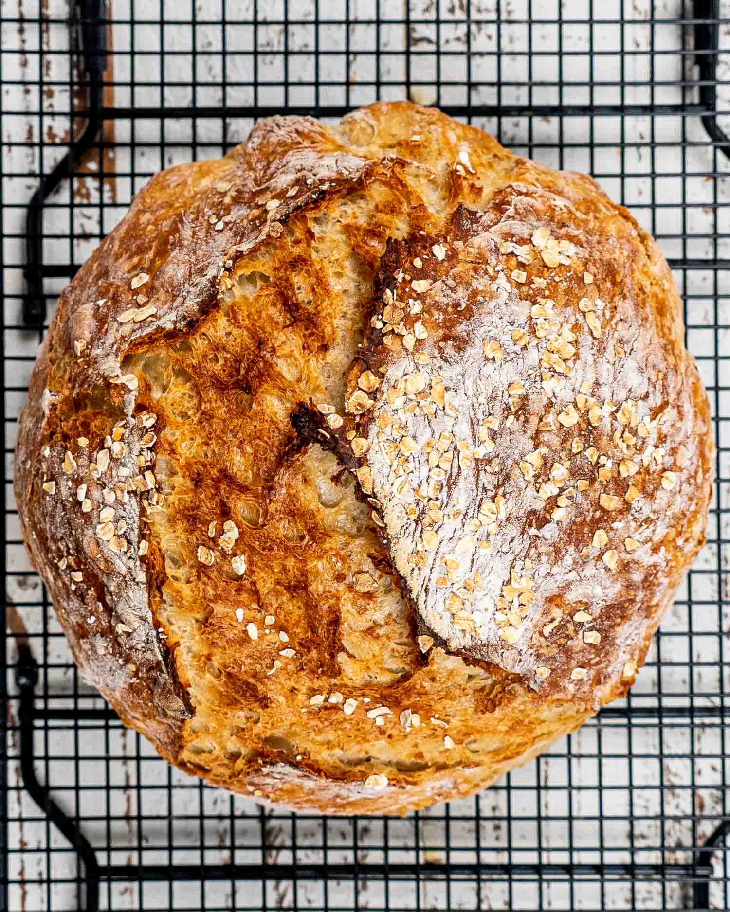 No Knead Artisan Bread (Honey Oat Recipe) - The Busy Baker