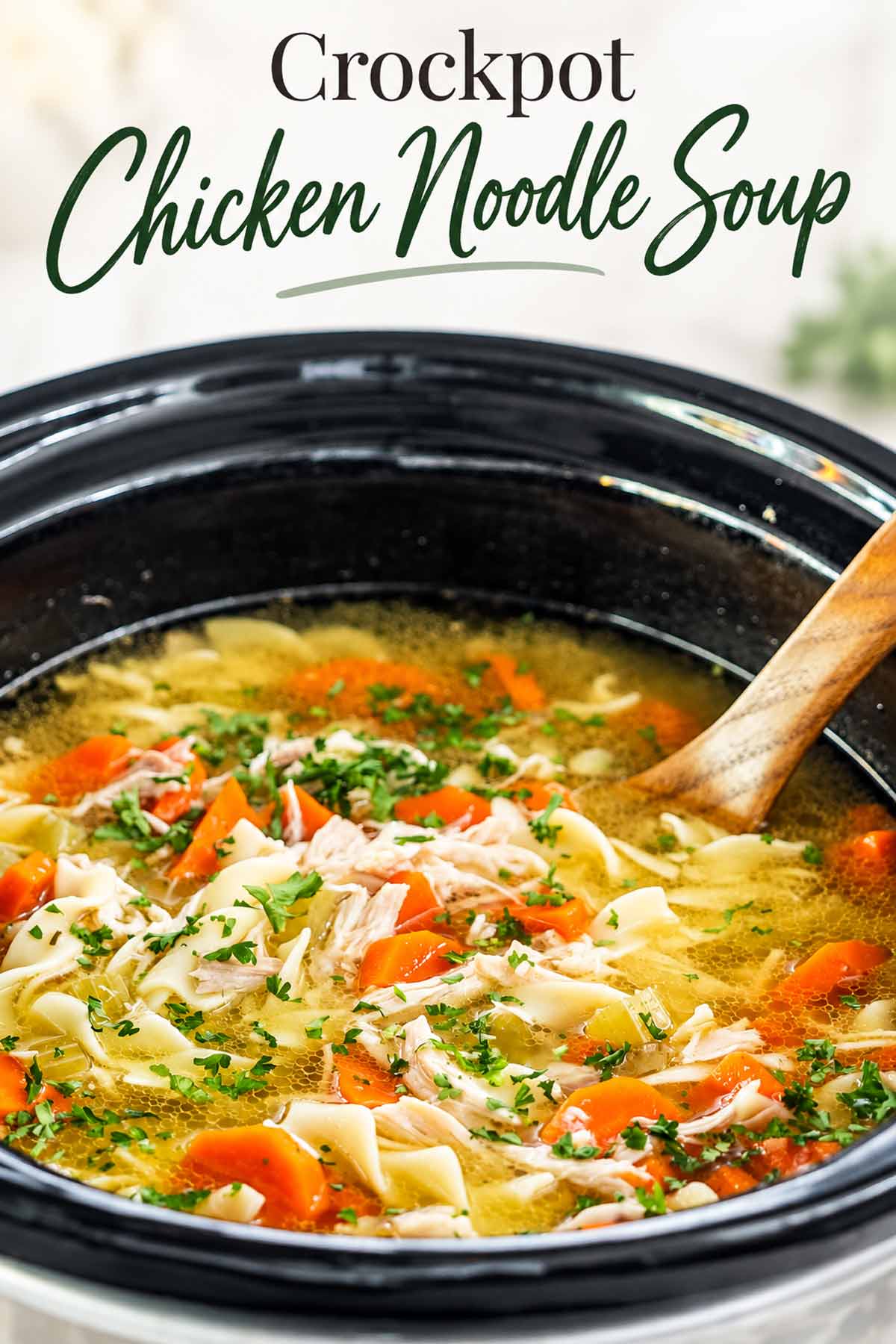 Close-up crockpot chicken noodle soup with tender chicken, carrots, herbs and wide noodles beneath an elegant title.