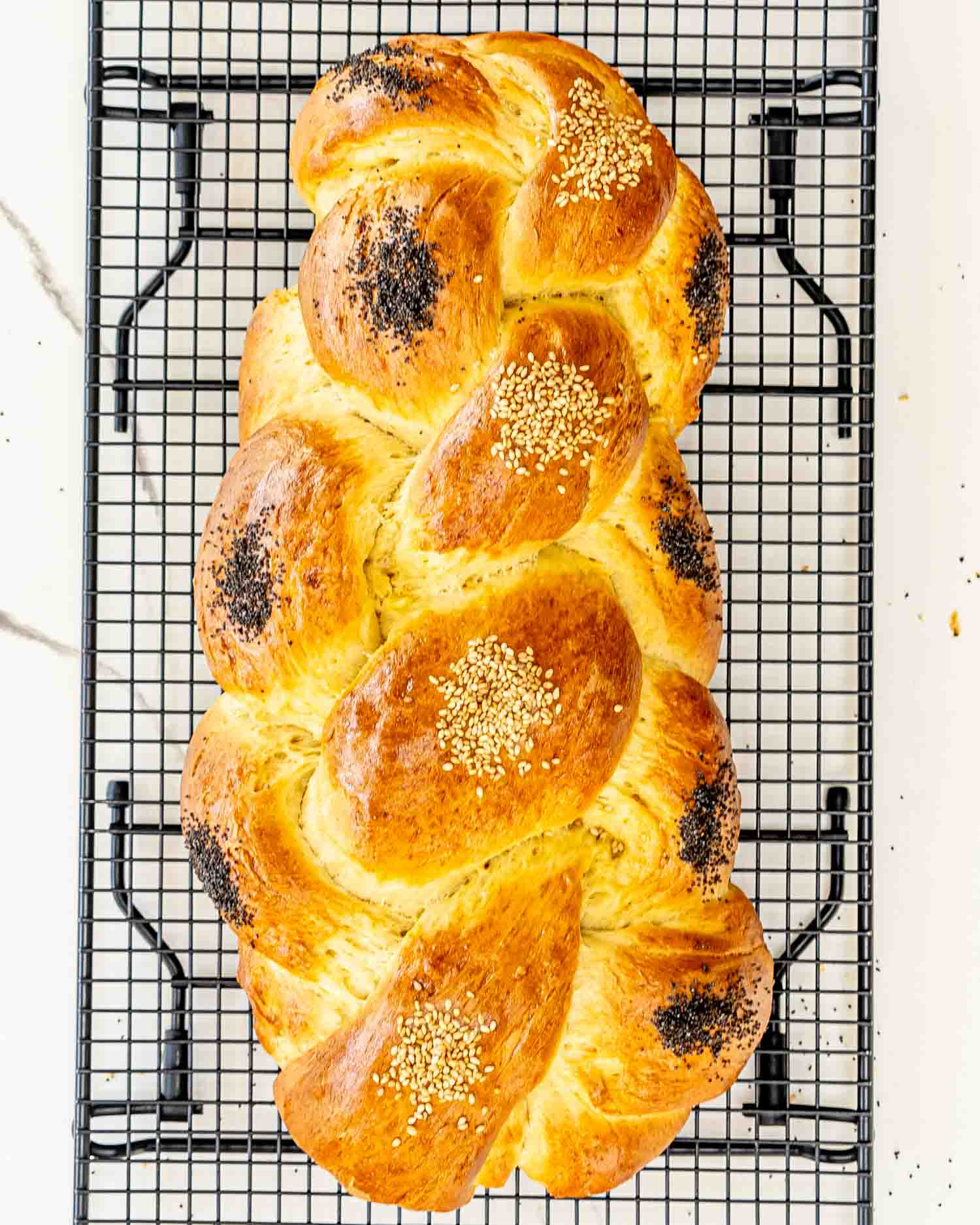 a gorgeous challah bread with sesame and poppy seeds on a black cool rack.