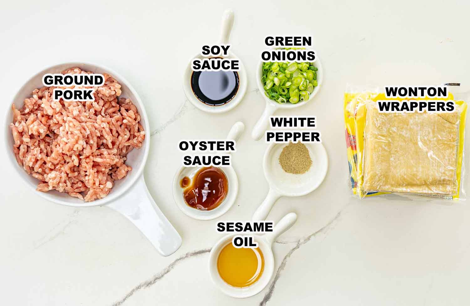 ingredients needed to make wonton soup.