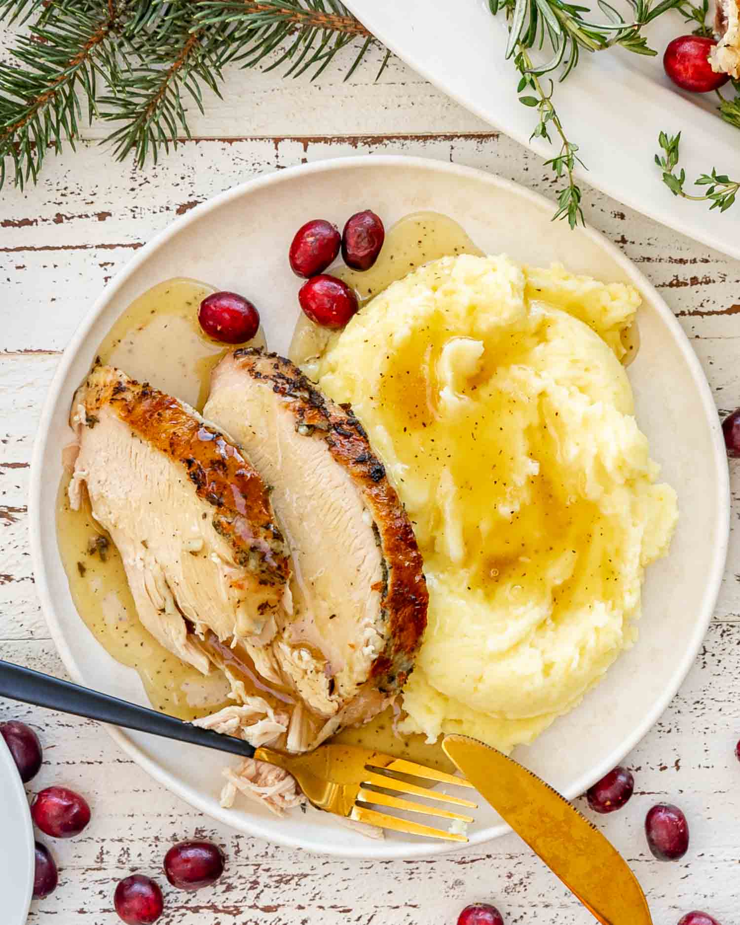 slow cooker turkey breast slices and creamy mashed potatoes topped with gravy, garnished with cranberries.