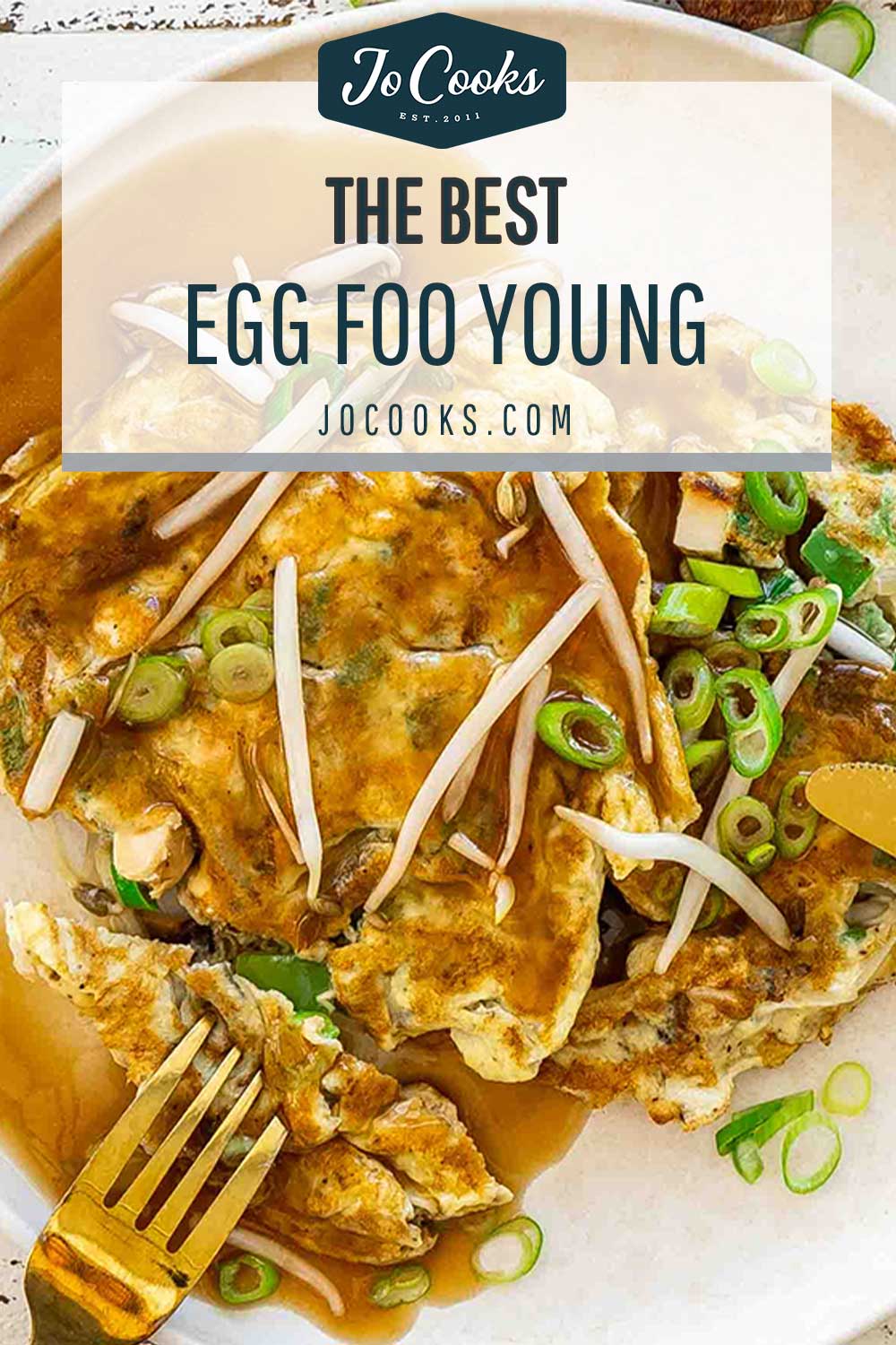 pin for egg foo young.