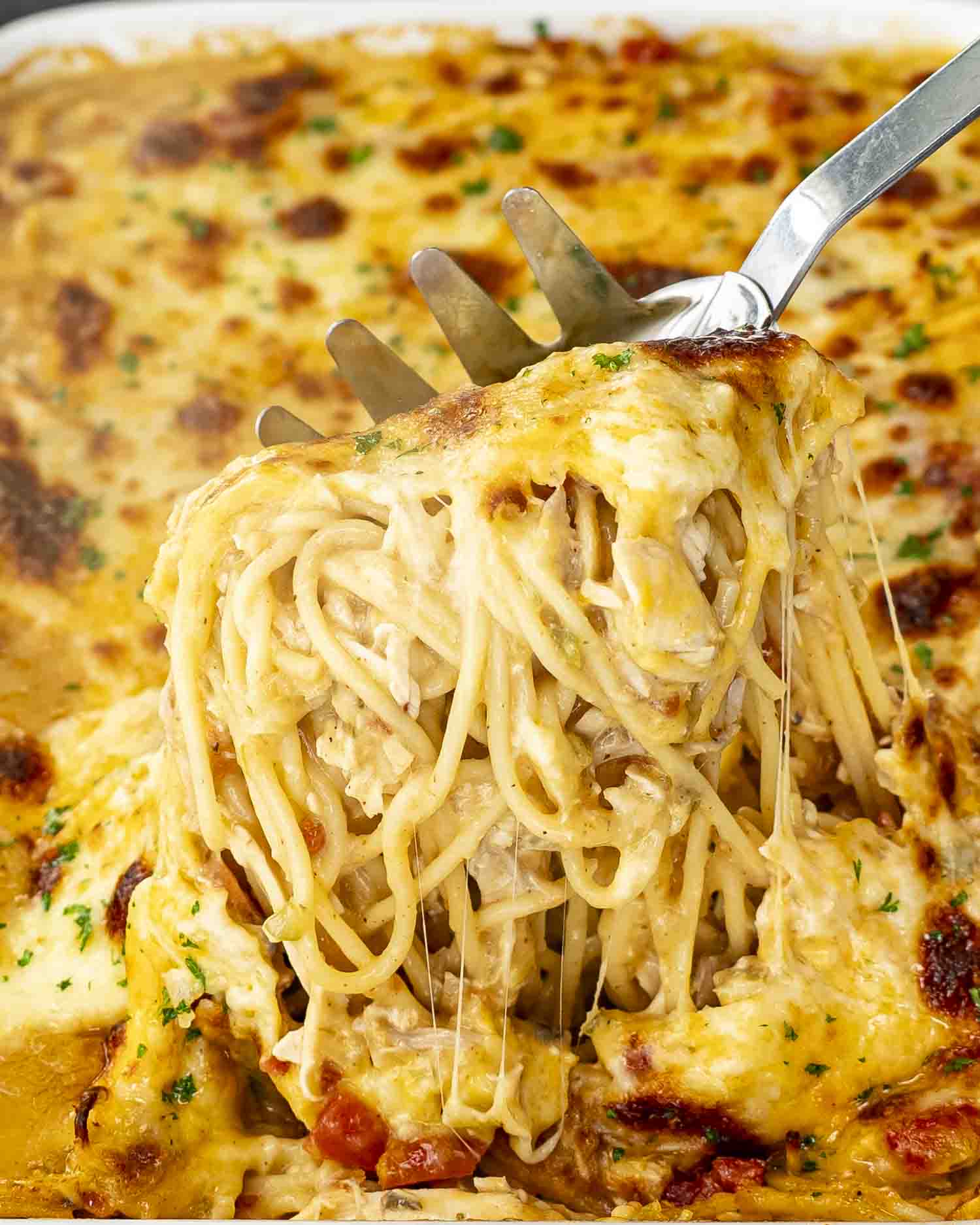 Cheesy forkful of baked chicken spaghetti being lifted from a casserole dish, showcasing gooey melted cheese and tender noodles.