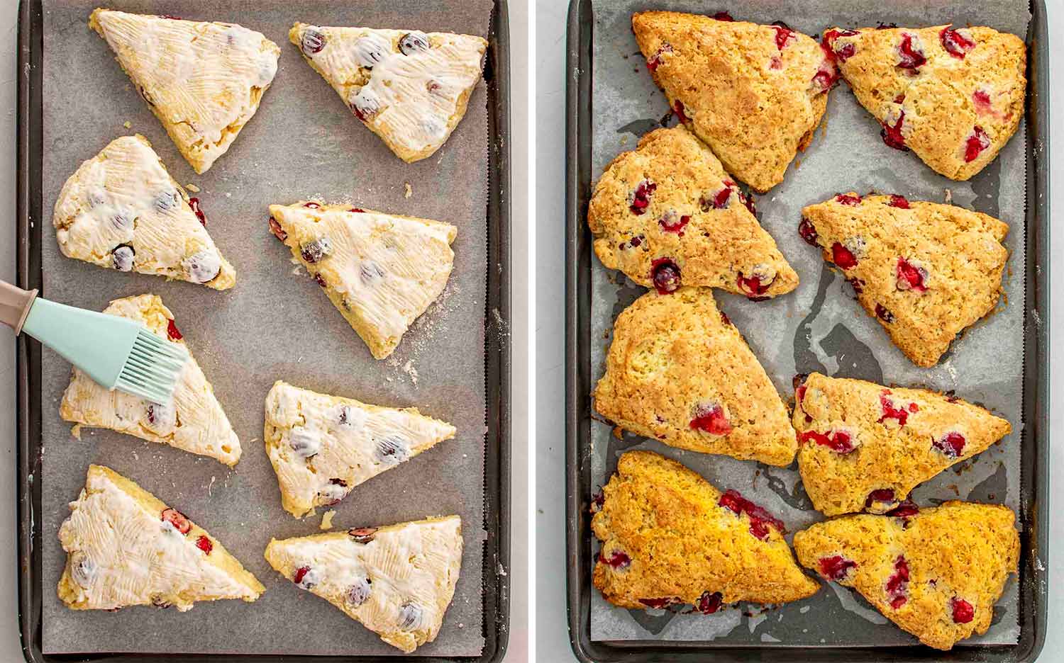 Unbaked cranberry orange scones brushed with cream next to the golden, risen scones after baking on a parchment-lined tray.