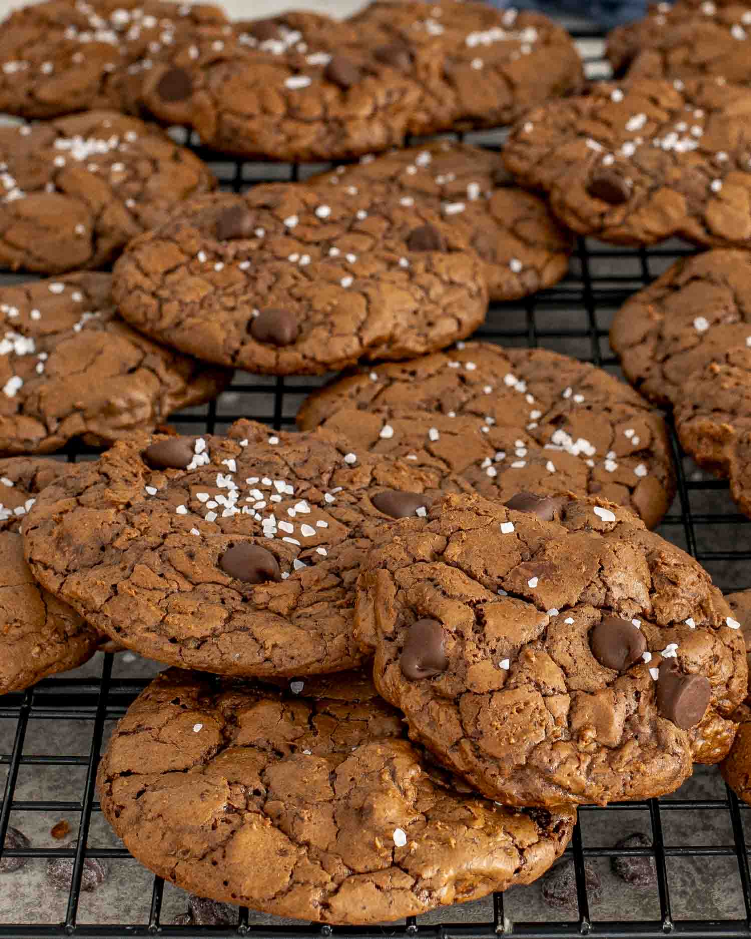 Fudgy mocha chocolate cookies with espresso flavor cooling on rack, topped with flaky salt and scattered chocolate chips.