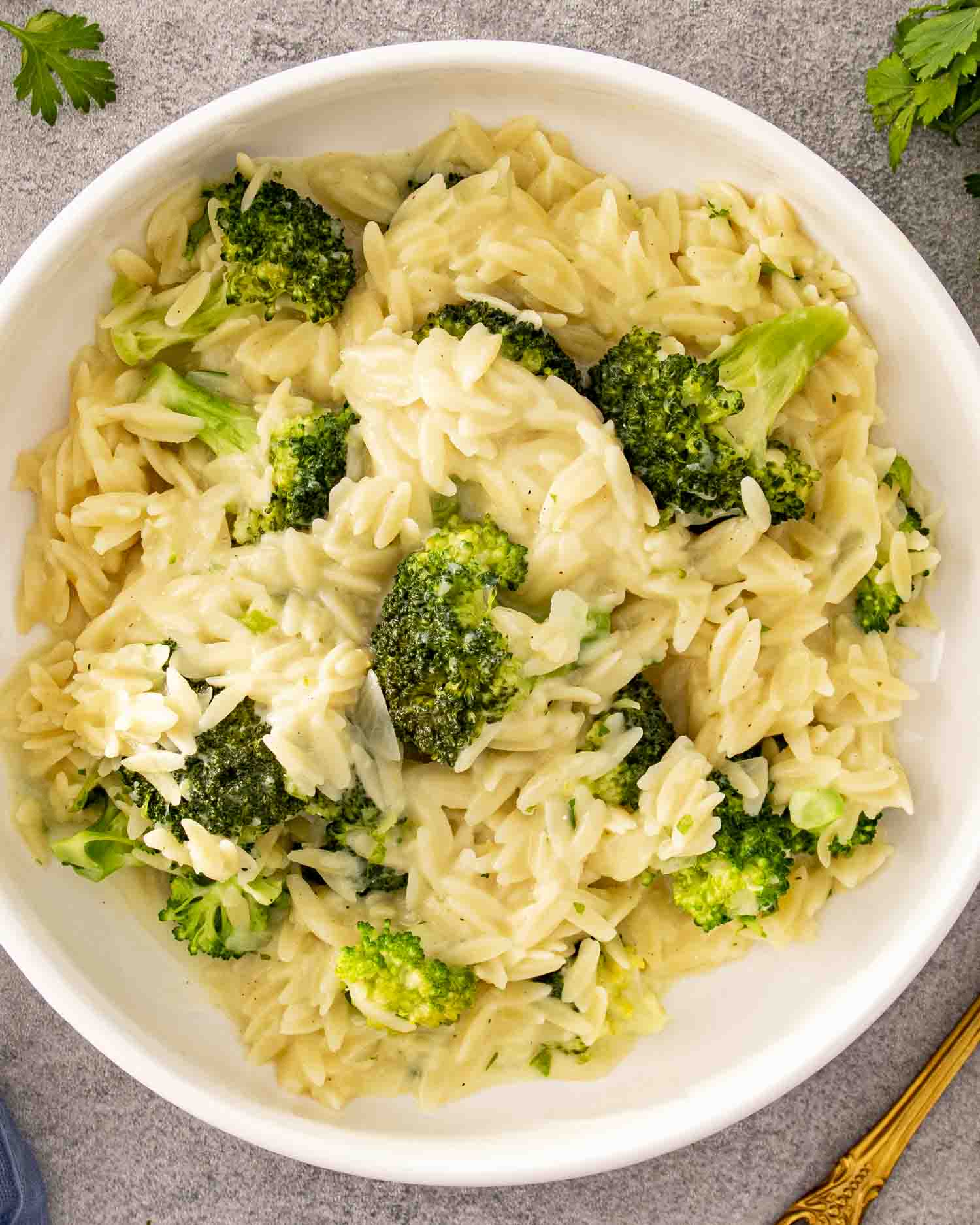 Creamy broccoli cheddar orzo served in a white bowl, showing tender orzo coated in cheese sauce with broccoli.